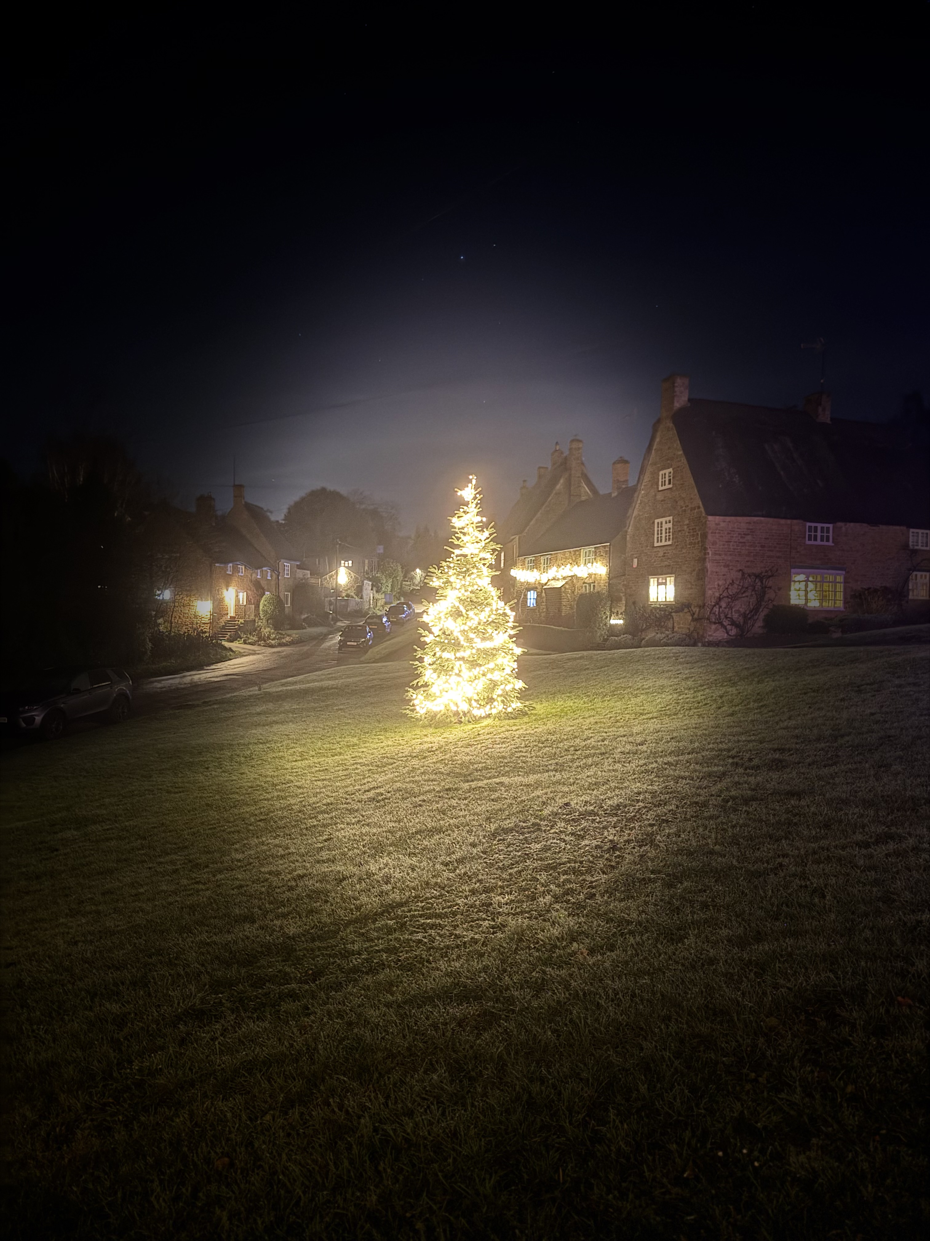 Wroxton Primary School students planting crocuses