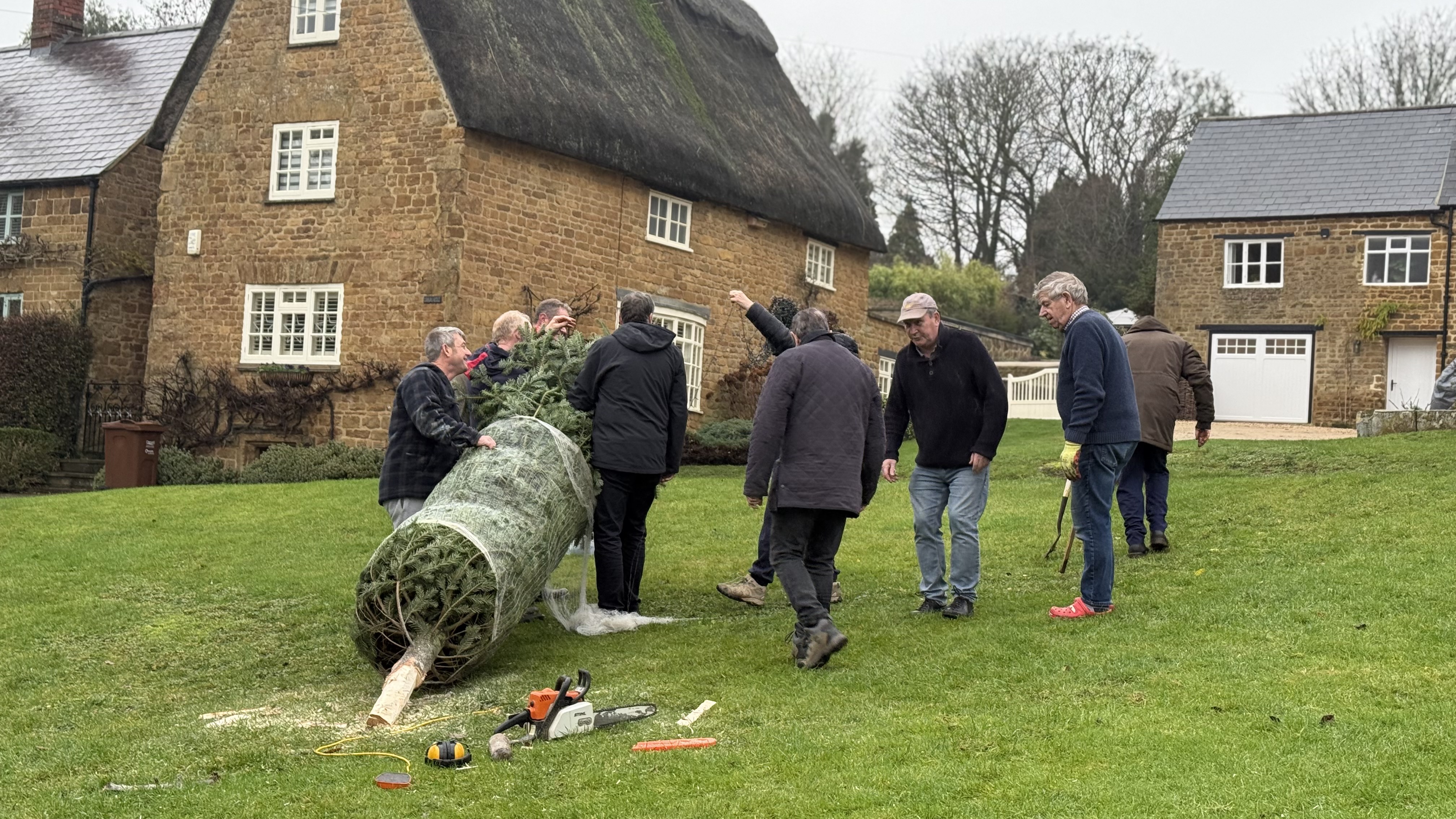 Purple crocuses planted for the Purple4Polio campaign