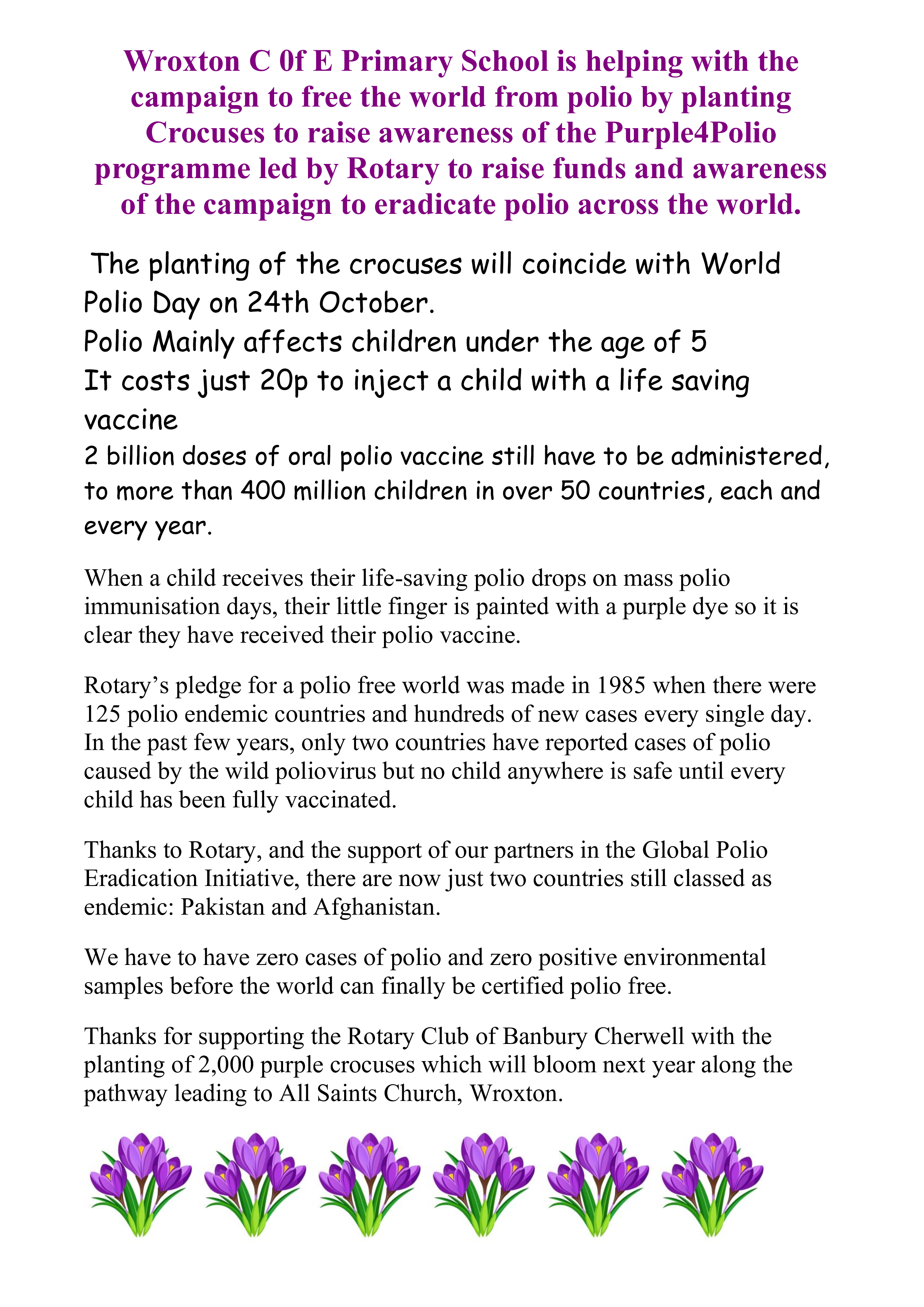 Purple4Polio Crocuses Planting