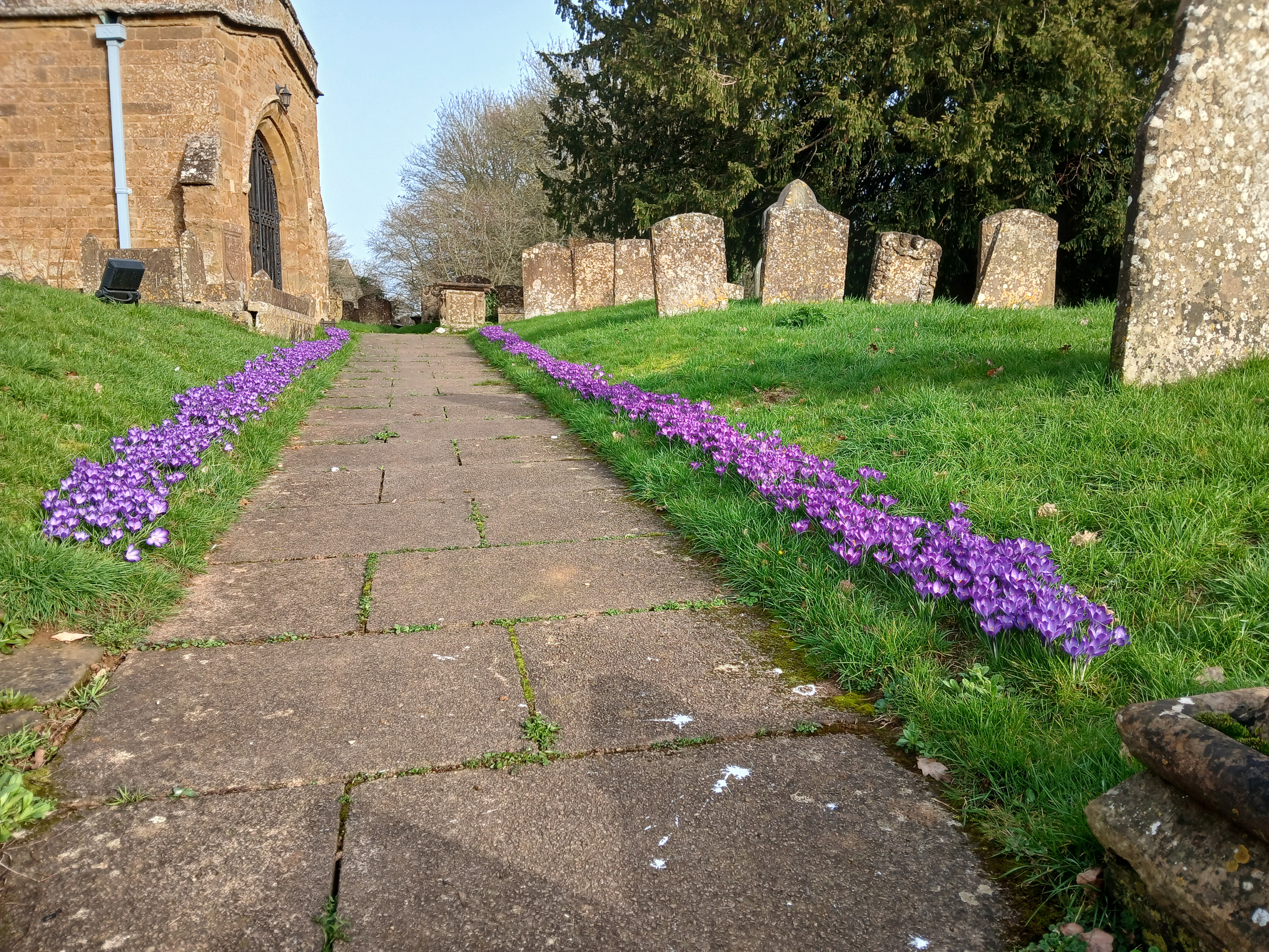 Additional image placeholder